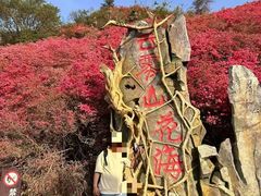 -木兰云雾山