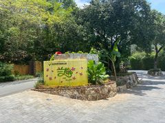-亚龙湾热带天堂森林公园