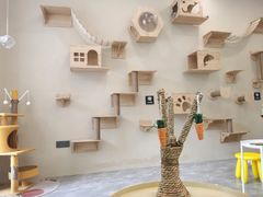 -猫力发电所·宠物专门店