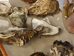 -开蚝屋·海鲜龙虾烧烤(文二路店)