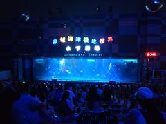 -泉城欧乐堡海洋极地世界