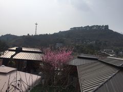 -玫瑰庄园·自助烧烤·烤全羊·团建拓展(龙泉山店)