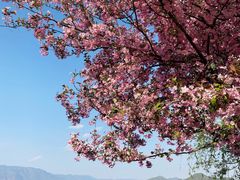 -丽江泸沽湖景区