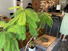 -溯洄咖啡VORTEX COFFEE