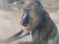 -泉州海丝野生动物世界