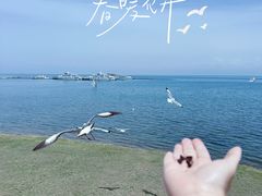 -青海湖国家重点风景名胜区
