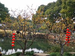 -无锡梅园公园