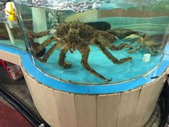 -绿雅居原生态农庄(小涌店)