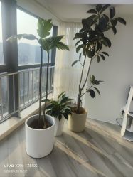 -HEYAN荷妍专业脱毛连锁机构
