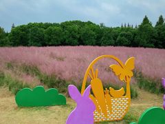 -同里国家湿地公园