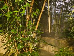 -云南滇池花园国际大酒店温泉