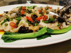 鲜花椒蒸老虎斑-Yan Ting 宴庭中餐厅(上海静安瑞吉酒店)