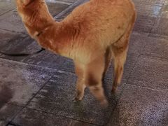 -南京时尚莱迪购物广场(正洪街店)