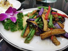 茄角之恋-品回味清真西北楼(宁波首店)