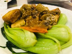 -金龙餐厅(圆山大饭店)