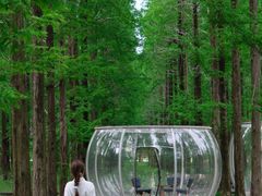 -黄海国家森林公园