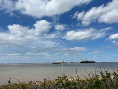 -上海滨江森林公园