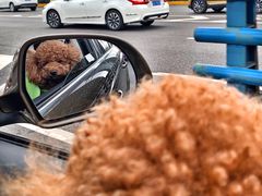 -首尔馆韩国料理(金童路店)