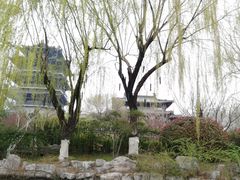-济南大明湖景区