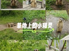 -黄河九曲第一湾
