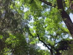 -西安碑林博物馆