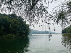 -广州市白云山风景名胜区