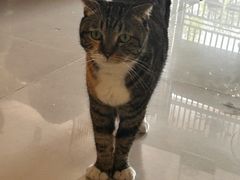-平行世界·猫咖(首经贸店)