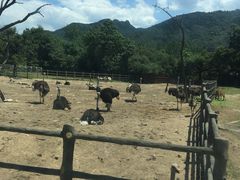 -西安秦岭野生动物园