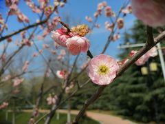 -江南大学(蠡湖校区)
