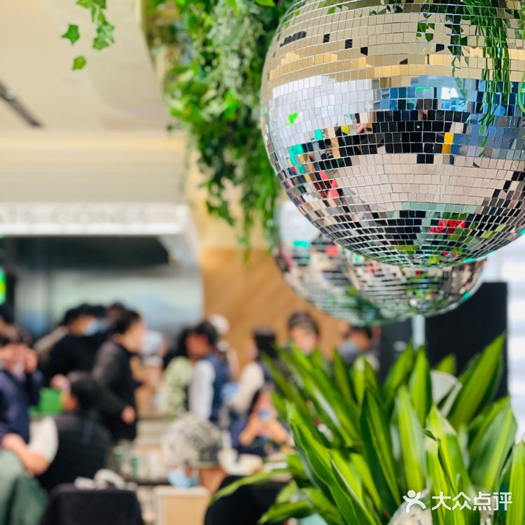 上海第7家Shake Shack 开业啦‼️