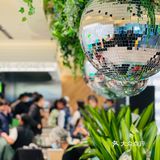 上海第7家Shake Shack 开业啦‼️