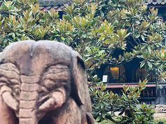 -峨眉山报国寺