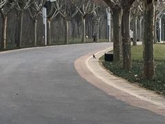 園內環境-郑州植物园