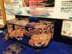 -蟹道乐(道顿堀本店)