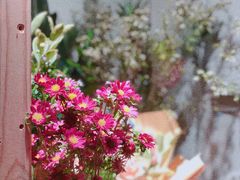 -花十悦·鲜花咖啡餐厅(振业城一期店)