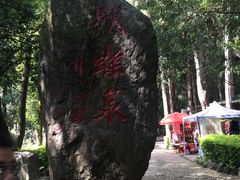 -蝴蝶泉公园