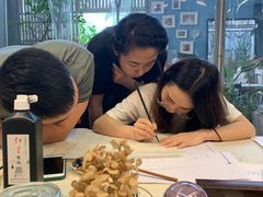 -六出私塾LiuChu•成人美术书法系统课程专业画室(熊婆婆的花园店)