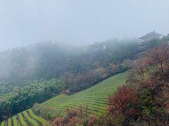 -敬亭山风景名胜区