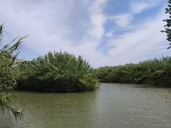 -泗洪洪泽湖湿地景区