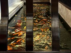 -龙悦湾酒家·八阵鱼生·渔人码头店