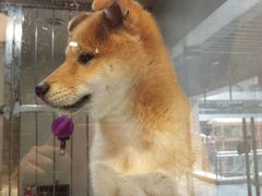 -汉堡王(上海凌云壹街坊店)