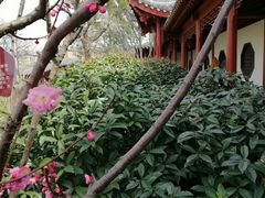 -贮水山儿童公园