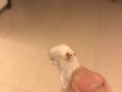 -宠颐生宠物医院外科·内科·皮肤科·影像科(石龙店)