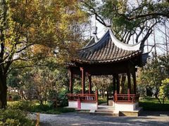 -上海醉白池公园
