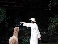 -昆明青龙峡风景区