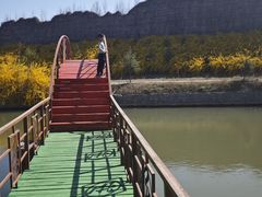 -东方巨龟苑景区