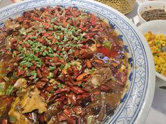-新概念来凤鱼(璧山店)