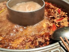 -杨肥肠小火锅(花园店)