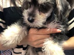 -宠爱我(南山店)