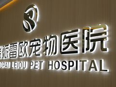 -瑞派雷欧宠物医院·24h夜诊·心脏骨科牙科·全科重症转诊中心(无影山店)